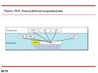 Figure 20.8  Protocol field and encapsulated data 