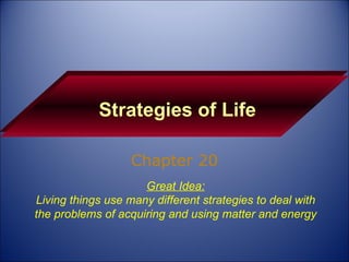 Strategies of Life Chapter 20 Great Idea: Living things use many different strategies to deal with the problems of acquiring and using matter and energy 
