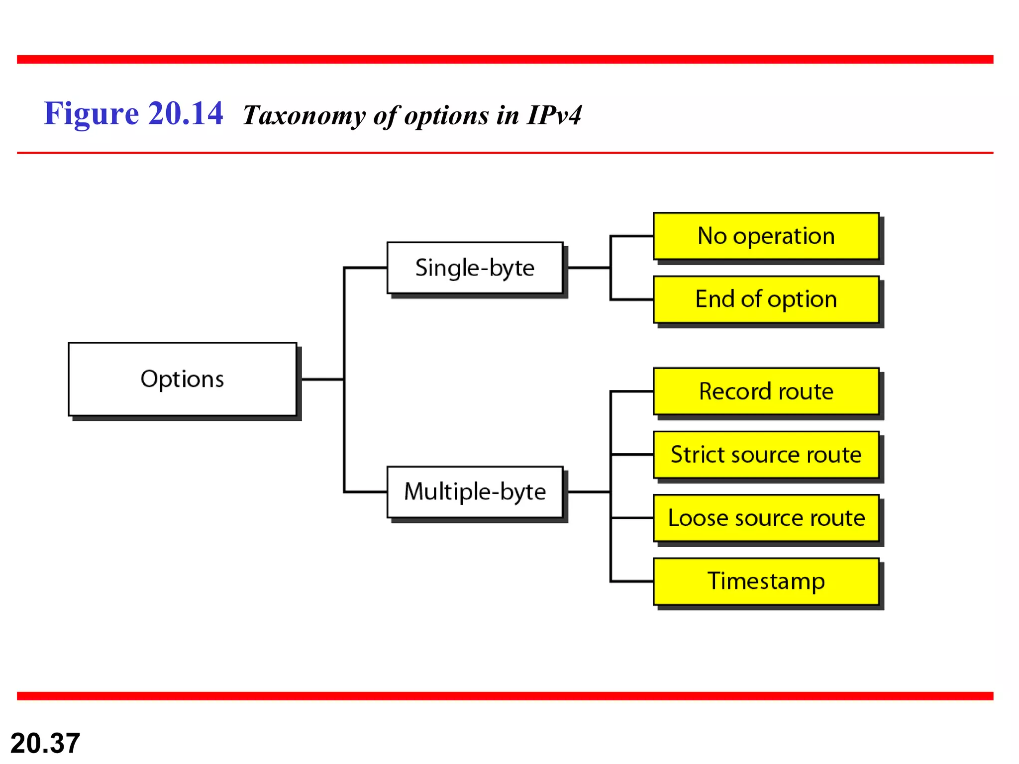 Figure 20.14  Taxonomy of options in IPv4 