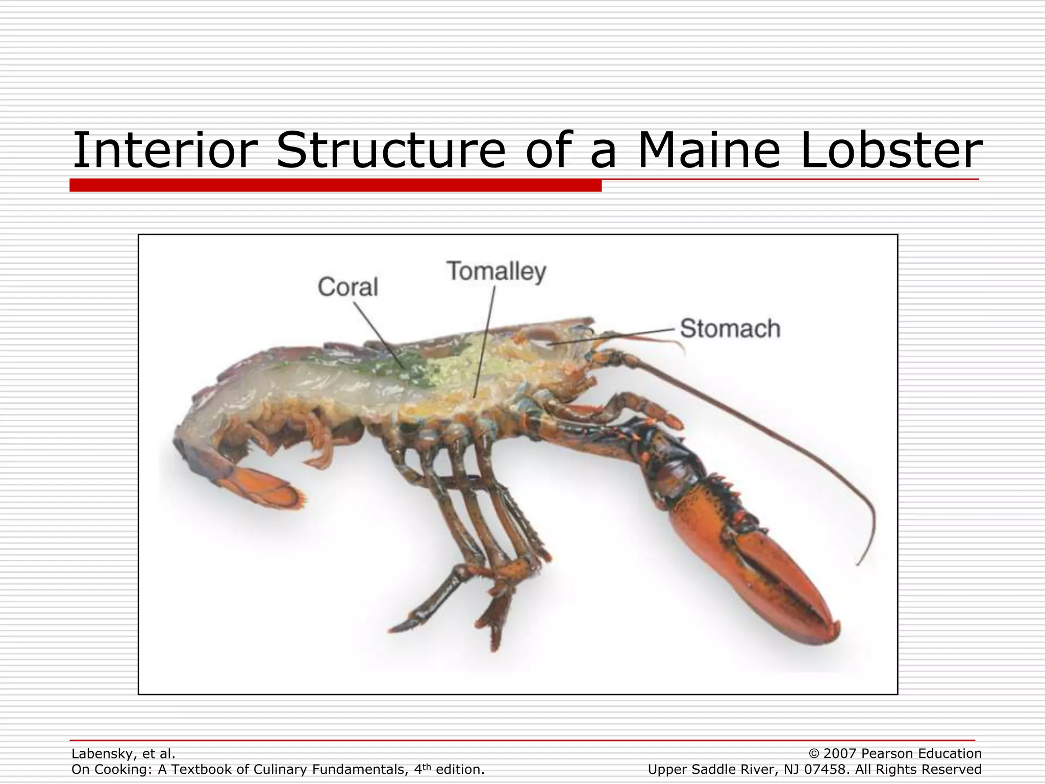 Interior Structure of a Maine Lobster




Labensky, et al.                                                                        © 2007 Pearson Education
On Cooking: A Textbook of Culinary Fundamentals, 4th edition.   Upper Saddle River, NJ 07458. All Rights Reserved
 