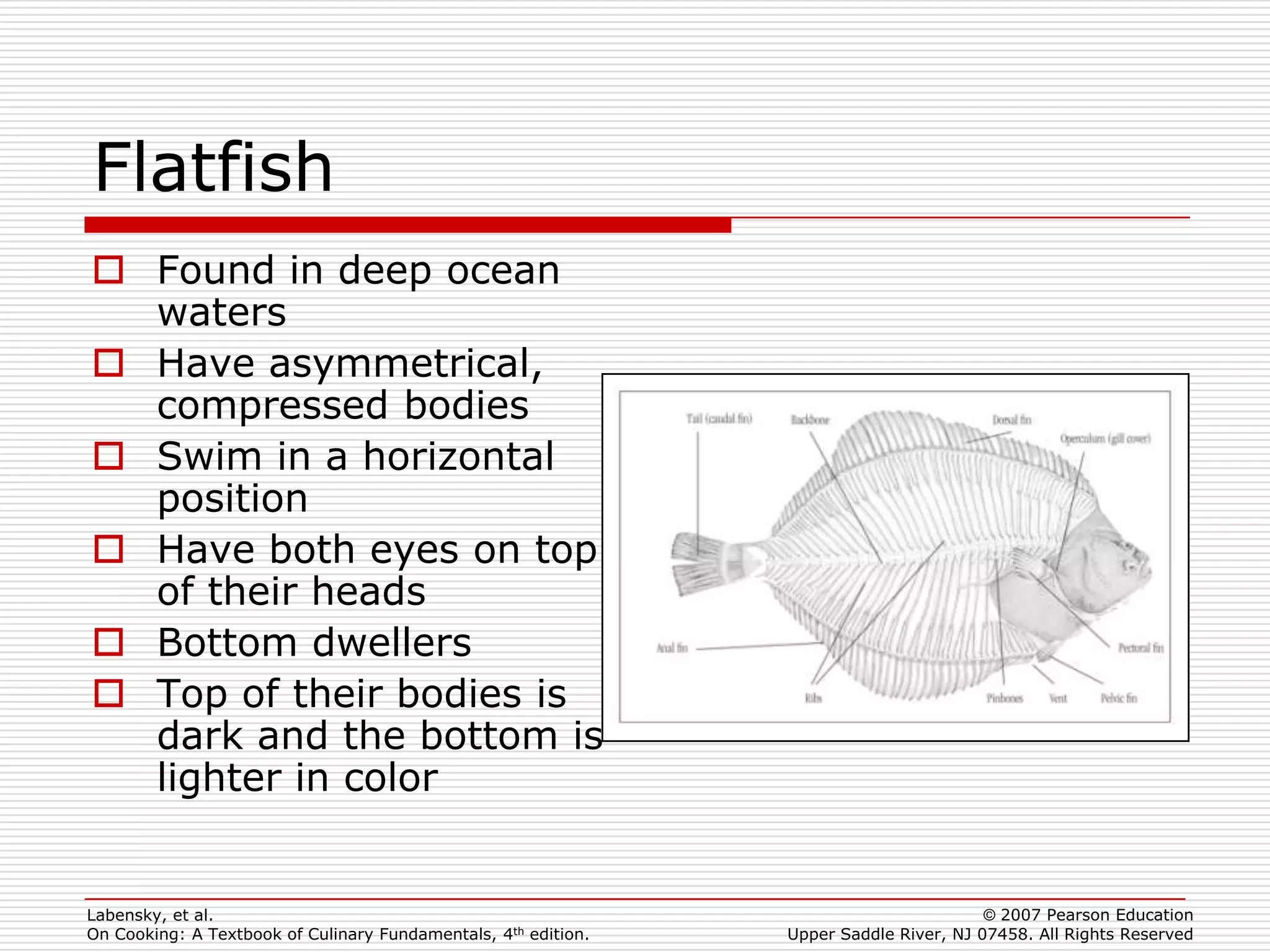 Flatfish
 Found in deep ocean
  waters
 Have asymmetrical,
  compressed bodies
 Swim in a horizontal
  position
 Have both eyes on top
  of their heads
 Bottom dwellers
 Top of their bodies is
  dark and the bottom is
  lighter in color


Labensky, et al.                                                                        © 2007 Pearson Education
On Cooking: A Textbook of Culinary Fundamentals, 4th edition.   Upper Saddle River, NJ 07458. All Rights Reserved
 