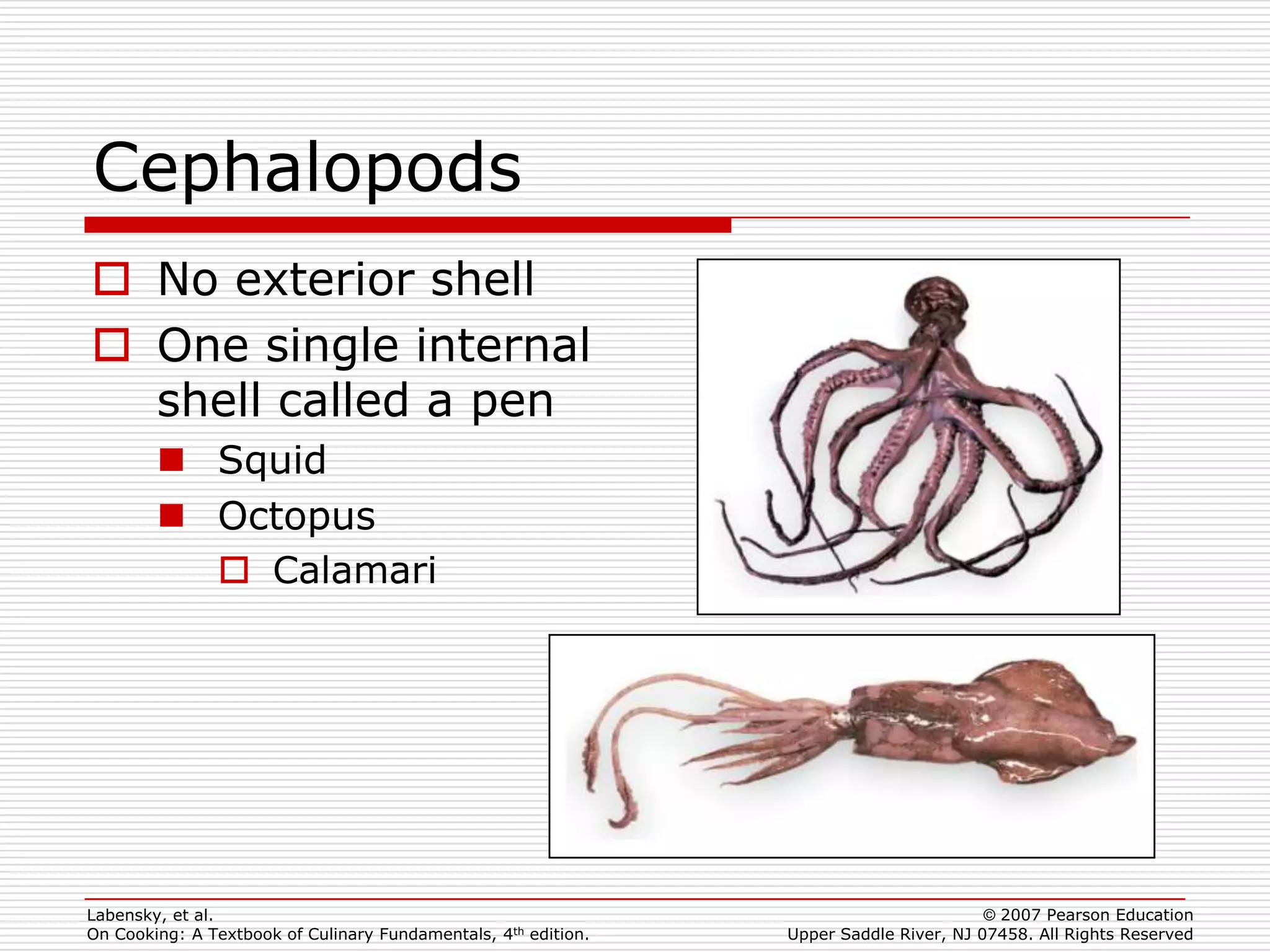 Cephalopods
 No exterior shell
 One single internal
  shell called a pen
         Squid
         Octopus
           Calamari




Labensky, et al.                                                                        © 2007 Pearson Education
On Cooking: A Textbook of Culinary Fundamentals, 4th edition.   Upper Saddle River, NJ 07458. All Rights Reserved
 