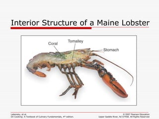 Interior Structure of a Maine Lobster




Labensky, et al.                                                                        © 2007 Pearson Education
On Cooking: A Textbook of Culinary Fundamentals, 4th edition.   Upper Saddle River, NJ 07458. All Rights Reserved
 