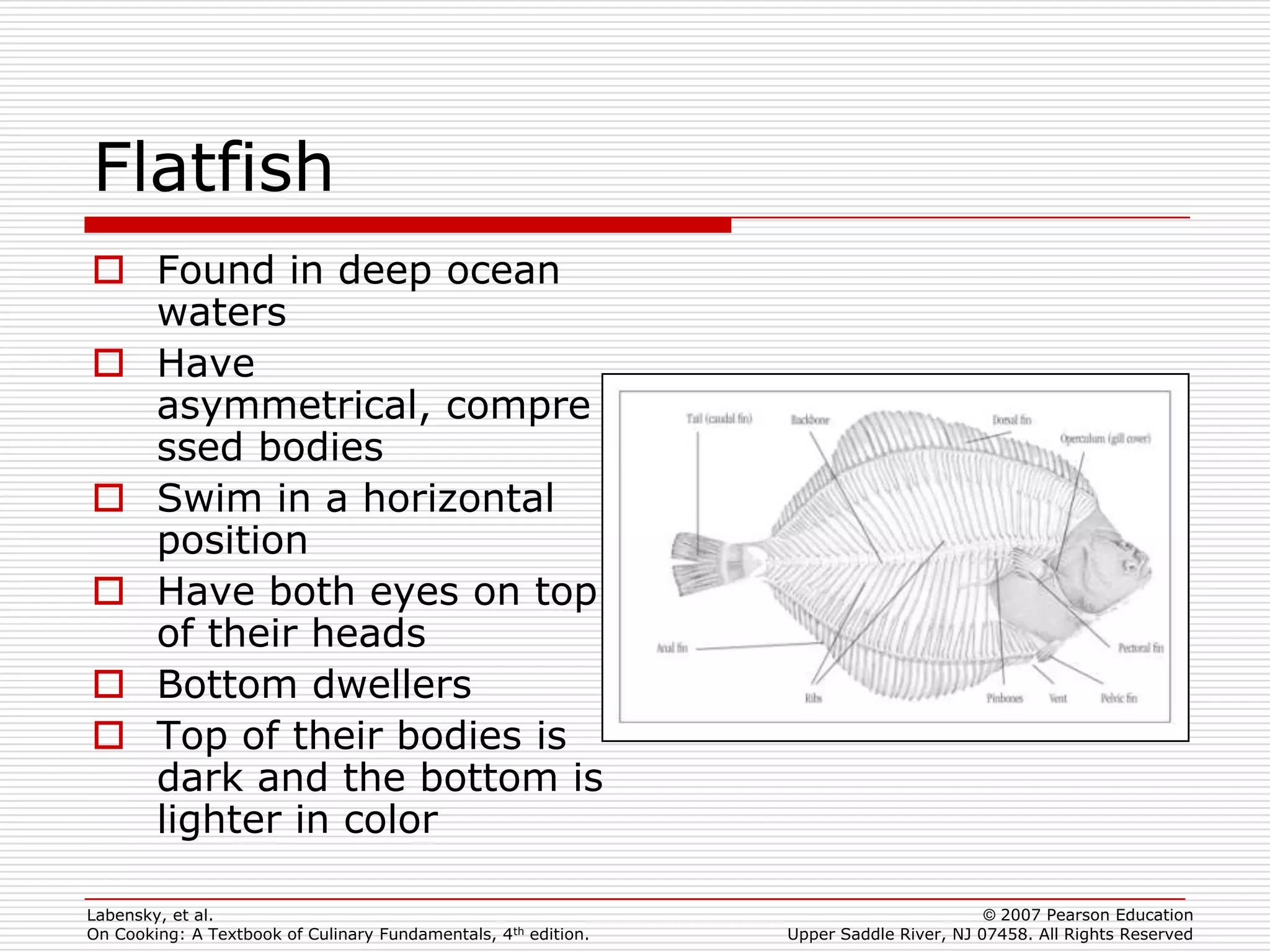 Flatfish
 Found in deep ocean
  waters
 Have
  asymmetrical, compre
  ssed bodies
 Swim in a horizontal
  position
 Have both eyes on top
  of their heads
 Bottom dwellers
 Top of their bodies is
  dark and the bottom is
  lighter in color

Labensky, et al.                                                                        © 2007 Pearson Education
On Cooking: A Textbook of Culinary Fundamentals, 4th edition.   Upper Saddle River, NJ 07458. All Rights Reserved
 