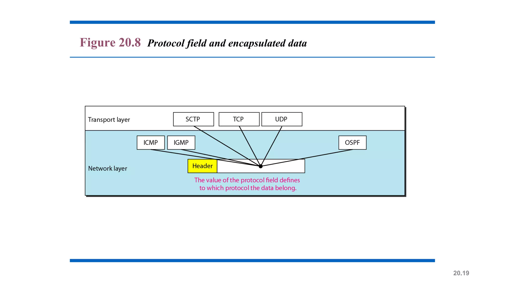 20.19
Figure 20.8 Protocol field and encapsulated data
 