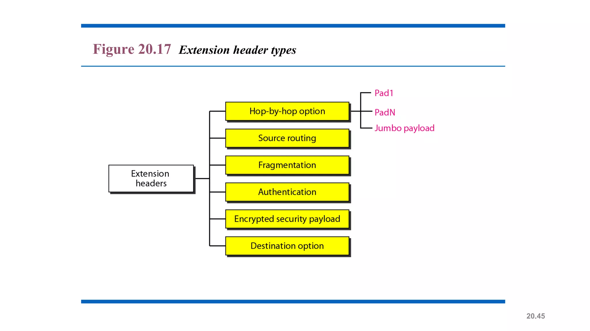 20.45
Figure 20.17 Extension header types
 