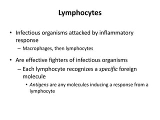 Lymphocytes
• Infectious organisms attacked by inflammatory
response
– Macrophages, then lymphocytes
• Are effective fighters of infectious organisms
– Each lymphocyte recognizes a specific foreign
molecule
• Antigens are any molecules inducing a response from a
lymphocyte
 