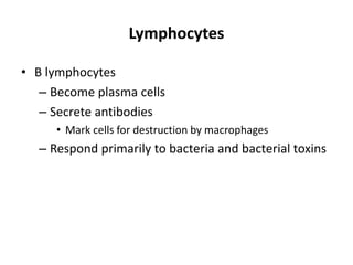 Lymphocytes
• B lymphocytes
– Become plasma cells
– Secrete antibodies
• Mark cells for destruction by macrophages
– Respond primarily to bacteria and bacterial toxins
 
