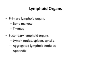 Lymphoid Organs
• Primary lymphoid organs
– Bone marrow
– Thymus
• Secondary lymphoid organs
– Lymph nodes, spleen, tonsils
– Aggregated lymphoid nodules
– Appendix
 
