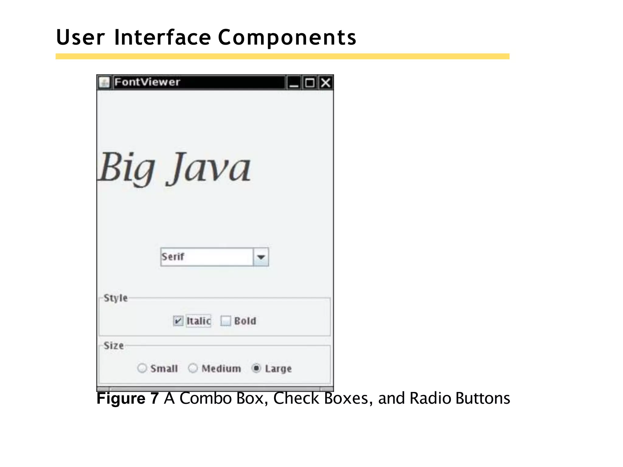 User Interface Components
Figure 7 A Combo Box, Check Boxes, and Radio Buttons
 