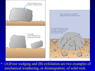 • (A)Frost wedging and (B) exfoliation are two examples of
mechanical weathering, or disintegration, of solid rock.
 