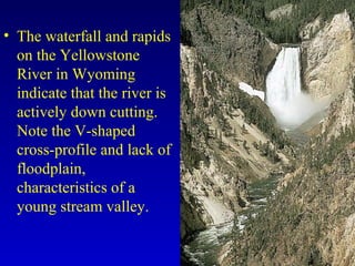 • The waterfall and rapids
on the Yellowstone
River in Wyoming
indicate that the river is
actively down cutting.
Note the V-shaped
cross-profile and lack of
floodplain,
characteristics of a
young stream valley.
 
