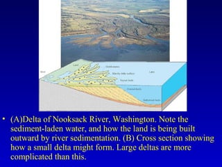 • (A)Delta of Nooksack River, Washington. Note the
sediment-laden water, and how the land is being built
outward by river sedimentation. (B) Cross section showing
how a small delta might form. Large deltas are more
complicated than this.
 