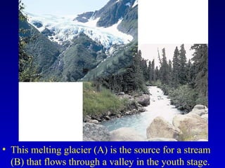 • This melting glacier (A) is the source for a stream
(B) that flows through a valley in the youth stage.
 