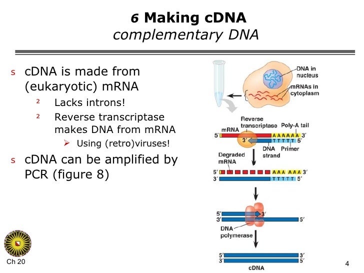 Hoofdstuk 20 2008 deel 2