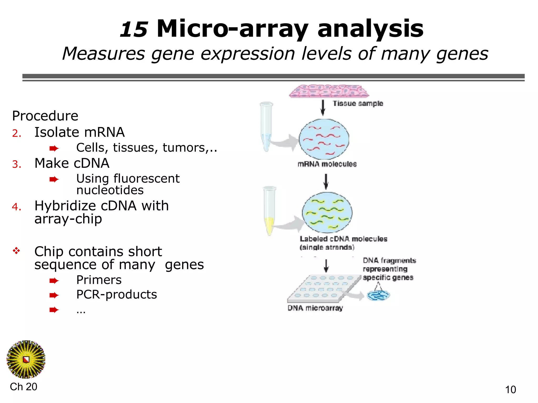 15  Micro-array analysis  Measures gene expression levels of many genes Procedure Isolate mRNA Cells, tissues, tumors,.. Make cDNA Using fluorescent nucleotides Hybridize cDNA with array-chip Chip contains short sequence of many  genes Primers PCR-products … 