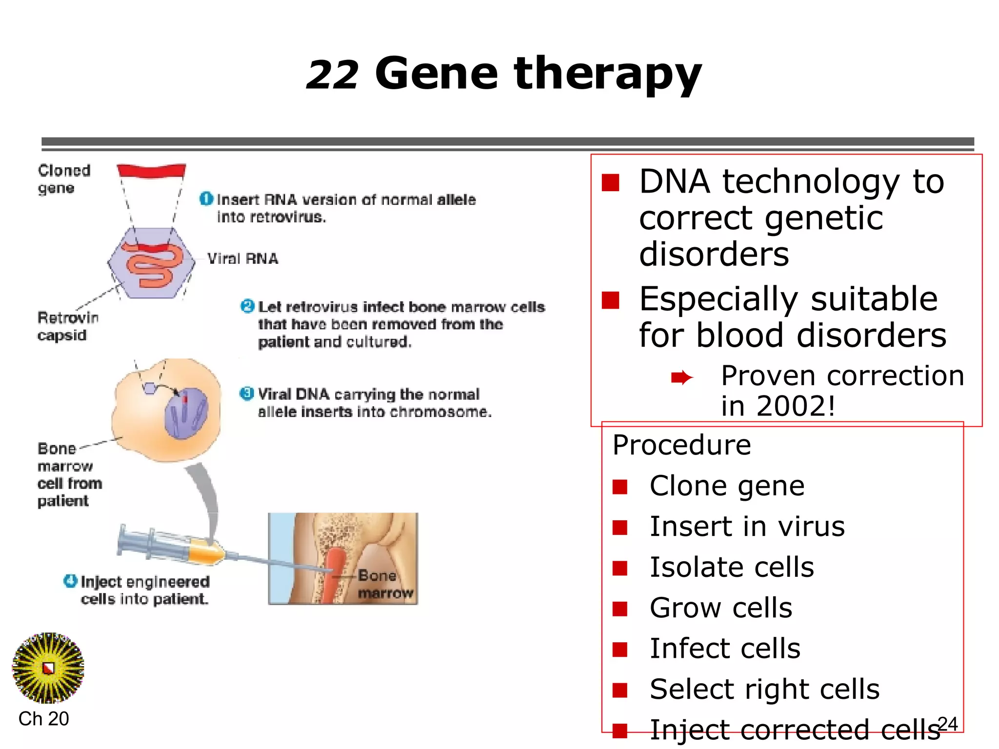 22  Gene therapy  DNA technology to correct genetic disorders Especially suitable for blood disorders Proven correction in 2002! Procedure Clone gene Insert in virus Isolate cells Grow cells Infect cells Select right cells Inject corrected cells 