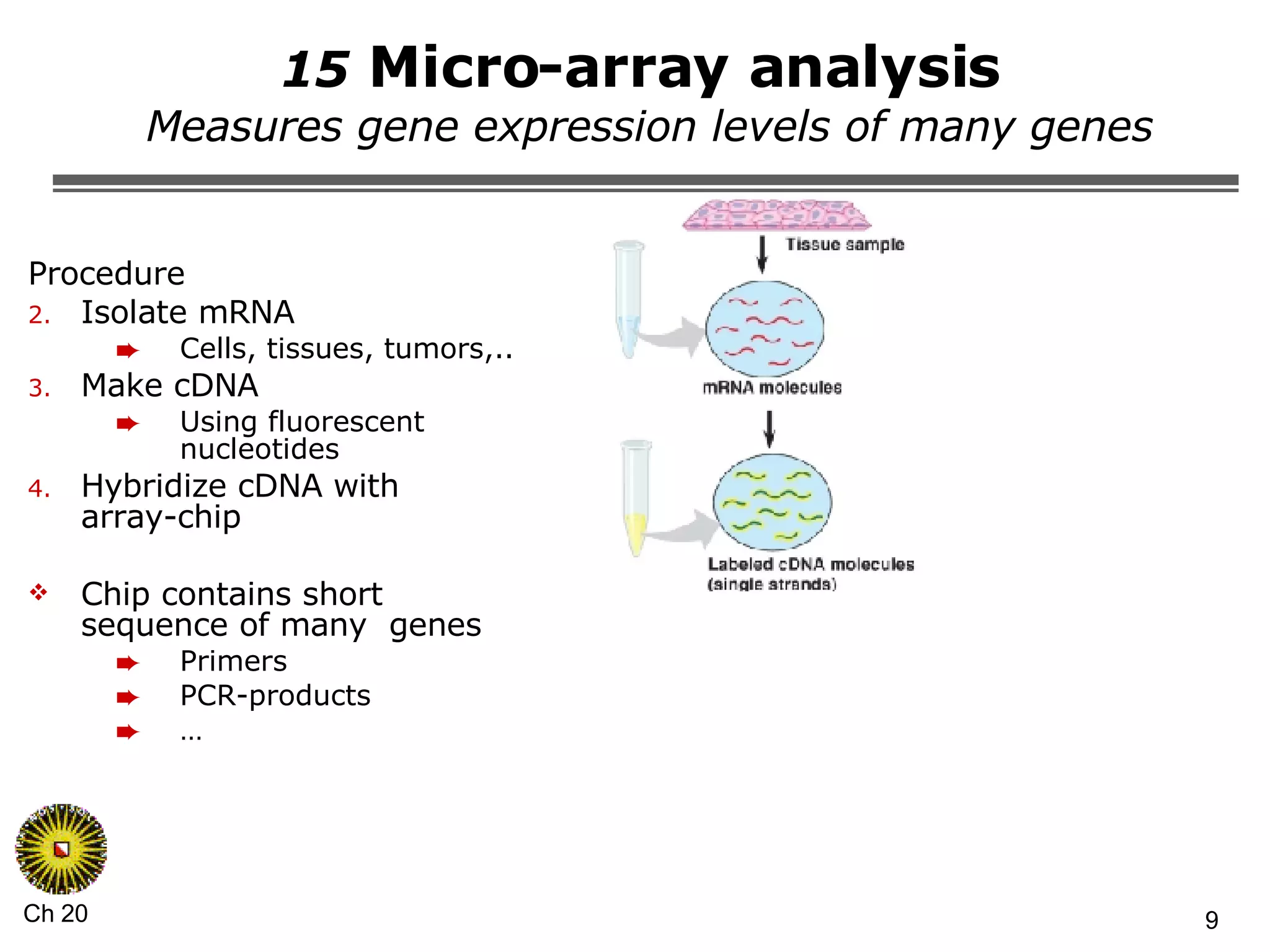 15  Micro-array analysis  Measures gene expression levels of many genes Procedure Isolate mRNA Cells, tissues, tumors,.. Make cDNA Using fluorescent nucleotides Hybridize cDNA with array-chip Chip contains short sequence of many  genes Primers PCR-products … 