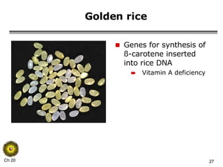 Golden rice Genes for synthesis of ß-carotene inserted into rice DNA Vitamin A deficiency 