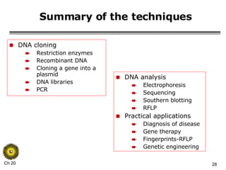 Summary of the techniques DNA analysis Electrophoresis Sequencing Southern blotting RFLP Practical applications Diagnosis of disease Gene therapy Fingerprints-RFLP Genetic engineering DNA cloning Restriction enzymes Recombinant DNA Cloning a gene into a plasmid DNA libraries PCR 