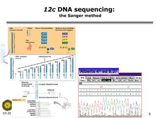 12c  DNA sequencing:   the Sanger method Alberts 4 th  ed 8.37 