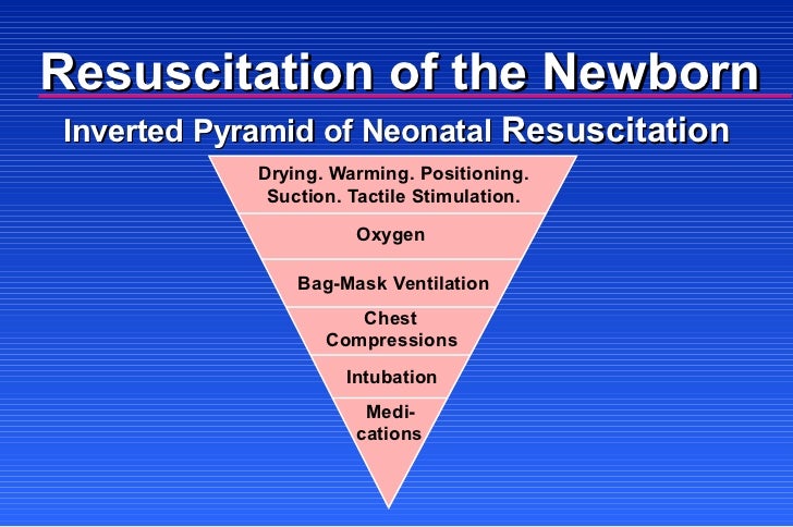 nrp obstetric dating and assessment Evaluation of all patients presenting in an obstetrical care: basic (practicing specialist gaining additional training) nrp certification gestational dating. nrp obstetric dating and assessment Evaluation of all patients presenting in an obstetrical care: basic (practicing specialist gaining additional training) nrp certification gestational dating.