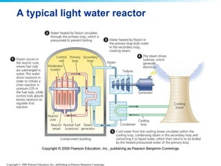 A typical light water reactor 