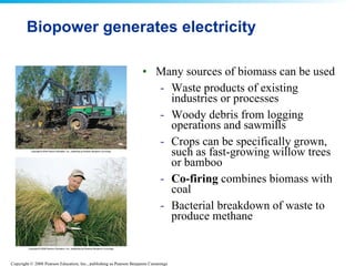 Biopower generates electricity Many sources of biomass can be used Waste products of existing industries or processes Woody debris from logging operations and sawmills Crops can be specifically grown, such as fast-growing willow trees or bamboo Co-firing  combines biomass with coal Bacterial breakdown of waste to produce methane 