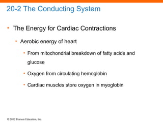 © 2012 Pearson Education, Inc.
20-2 The Conducting System
• The Energy for Cardiac Contractions
• Aerobic energy of heart
• From mitochondrial breakdown of fatty acids and
glucose
• Oxygen from circulating hemoglobin
• Cardiac muscles store oxygen in myoglobin
 