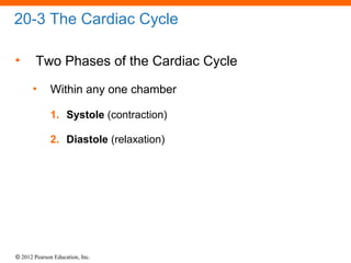 © 2012 Pearson Education, Inc.
20-3 The Cardiac Cycle
• Two Phases of the Cardiac Cycle
• Within any one chamber
1. Systole (contraction)
2. Diastole (relaxation)
 