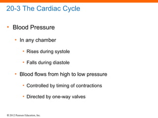 © 2012 Pearson Education, Inc.
20-3 The Cardiac Cycle
• Blood Pressure
• In any chamber
• Rises during systole
• Falls during diastole
• Blood flows from high to low pressure
• Controlled by timing of contractions
• Directed by one-way valves
 