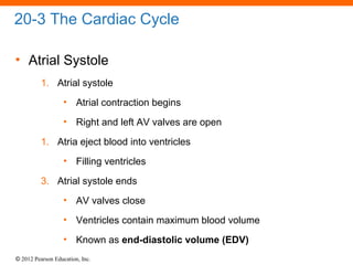 © 2012 Pearson Education, Inc.
20-3 The Cardiac Cycle
• Atrial Systole
1. Atrial systole
• Atrial contraction begins
• Right and left AV valves are open
1. Atria eject blood into ventricles
• Filling ventricles
3. Atrial systole ends
• AV valves close
• Ventricles contain maximum blood volume
• Known as end-diastolic volume (EDV)
 
