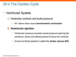 © 2012 Pearson Education, Inc.
20-3 The Cardiac Cycle
• Ventricular Systole
4. Ventricles contract and build pressure
• AV valves close cause isovolumetric contraction
5. Ventricular ejection
• Ventricular pressure exceeds vessel pressure opening the
semilunar valves and allowing blood to leave the ventricle
• Amount of blood ejected is called the stroke volume (SV)
 