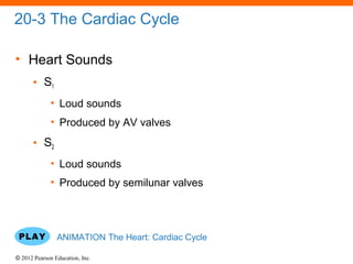 © 2012 Pearson Education, Inc.
20-3 The Cardiac Cycle
• Heart Sounds
• S1
• Loud sounds
• Produced by AV valves
• S2
• Loud sounds
• Produced by semilunar valves
ANIMATION The Heart: Cardiac Cycle
 