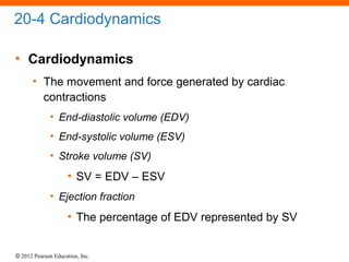 © 2012 Pearson Education, Inc.
20-4 Cardiodynamics
• Cardiodynamics
• The movement and force generated by cardiac
contractions
• End-diastolic volume (EDV)
• End-systolic volume (ESV)
• Stroke volume (SV)
• SV = EDV – ESV
• Ejection fraction
• The percentage of EDV represented by SV
 
