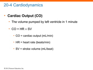 © 2012 Pearson Education, Inc.
20-4 Cardiodynamics
• Cardiac Output (CO)
• The volume pumped by left ventricle in 1 minute
• CO = HR × SV
• CO = cardiac output (mL/min)
• HR = heart rate (beats/min)
• SV = stroke volume (mL/beat)
 