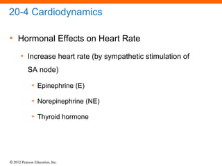 © 2012 Pearson Education, Inc.
20-4 Cardiodynamics
• Hormonal Effects on Heart Rate
• Increase heart rate (by sympathetic stimulation of
SA node)
• Epinephrine (E)
• Norepinephrine (NE)
• Thyroid hormone
 