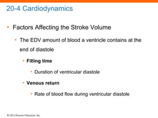 © 2012 Pearson Education, Inc.
20-4 Cardiodynamics
• Factors Affecting the Stroke Volume
• The EDV amount of blood a ventricle contains at the
end of diastole
• Filling time
• Duration of ventricular diastole
• Venous return
• Rate of blood flow during ventricular diastole
 
