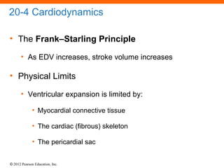 © 2012 Pearson Education, Inc.
20-4 Cardiodynamics
• The Frank–Starling Principle
• As EDV increases, stroke volume increases
• Physical Limits
• Ventricular expansion is limited by:
• Myocardial connective tissue
• The cardiac (fibrous) skeleton
• The pericardial sac
 