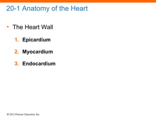© 2012 Pearson Education, Inc.
20-1 Anatomy of the Heart
• The Heart Wall
1. Epicardium
2. Myocardium
3. Endocardium
 