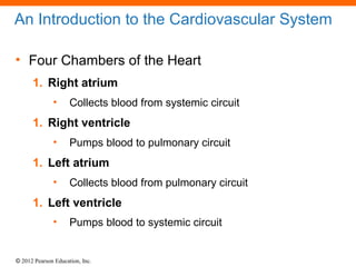 © 2012 Pearson Education, Inc.
An Introduction to the Cardiovascular System
• Four Chambers of the Heart
1. Right atrium
• Collects blood from systemic circuit
1. Right ventricle
• Pumps blood to pulmonary circuit
1. Left atrium
• Collects blood from pulmonary circuit
1. Left ventricle
• Pumps blood to systemic circuit
 