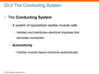 © 2012 Pearson Education, Inc.
20-2 The Conducting System
• The Conducting System
• A system of specialized cardiac muscle cells
• Initiates and distributes electrical impulses that
stimulate contraction
• Automaticity
• Cardiac muscle tissue contracts automatically
 
