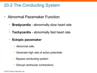 © 2012 Pearson Education, Inc.
20-2 The Conducting System
• Abnormal Pacemaker Function
• Bradycardia - abnormally slow heart rate
• Tachycardia - abnormally fast heart rate
• Ectopic pacemaker
• Abnormal cells
• Generate high rate of action potentials
• Bypass conducting system
• Disrupt ventricular contractions
 