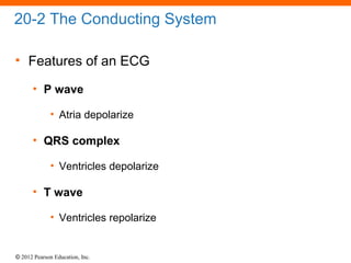 © 2012 Pearson Education, Inc.
20-2 The Conducting System
• Features of an ECG
• P wave
• Atria depolarize
• QRS complex
• Ventricles depolarize
• T wave
• Ventricles repolarize
 