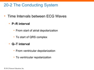 © 2012 Pearson Education, Inc.
20-2 The Conducting System
• Time Intervals between ECG Waves
• P–R interval
• From start of atrial depolarization
• To start of QRS complex
• Q–T interval
• From ventricular depolarization
• To ventricular repolarization
 