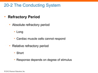 © 2012 Pearson Education, Inc.
20-2 The Conducting System
• Refractory Period
• Absolute refractory period
• Long
• Cardiac muscle cells cannot respond
• Relative refractory period
• Short
• Response depends on degree of stimulus
 