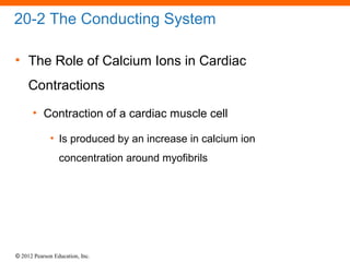 © 2012 Pearson Education, Inc.
20-2 The Conducting System
• The Role of Calcium Ions in Cardiac
Contractions
• Contraction of a cardiac muscle cell
• Is produced by an increase in calcium ion
concentration around myofibrils
 