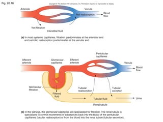 Fig. 20.16
 