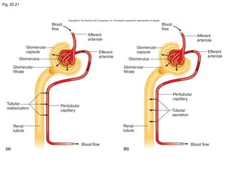Fig. 20.21
 