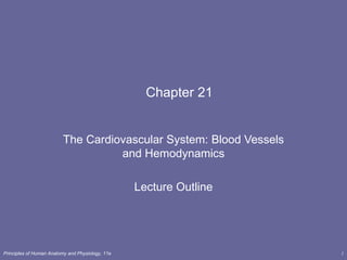 Chapter 21


                          The Cardiovascular System: Blood Vessels
                                    and Hemodynamics

                                                  Lecture Outline




Principles of Human Anatomy and Physiology, 11e                      1
 